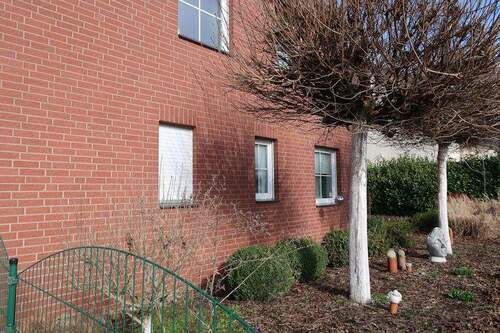 Hübscher Vorgarten - 