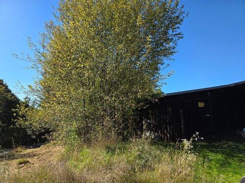 Ansicht Ost nach West unterhalb - 