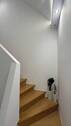 Treppenaufgang - 