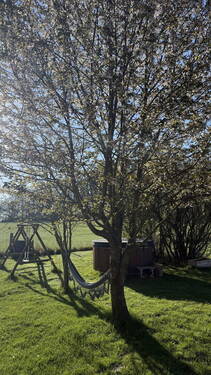 Garten - 