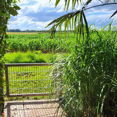 Gartentor zum Feld - 