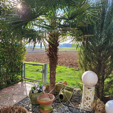 Terrasse (Bild vom Sommer) - 