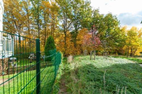 kl Trampelpfad vor der Wohnung in die Natur - 