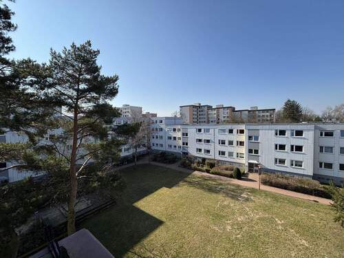 gepflegte Außenanlagen - 