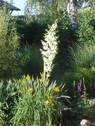 Bild18 - 