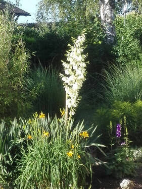 Bild18 - 