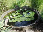 Bild19 - 