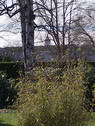 Bild20 - 