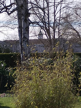 Bild20 - 