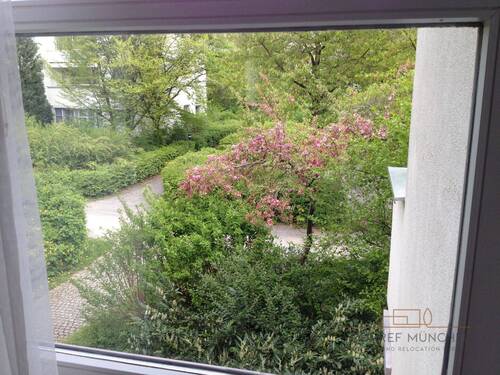 Blick aus dem Fenster - 