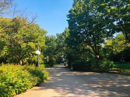 Parkartige Umgebung - 