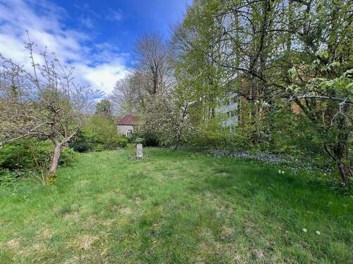 3 - Grundstück zum Kaufen in Hage