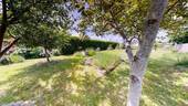 haus-verkaufen-eilenburg-tiny-house (7) - 