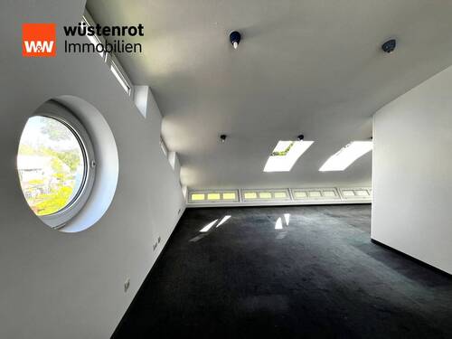Dachstudio - 