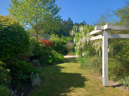 Bild 11 - 