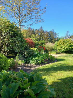 Bild 15 - 