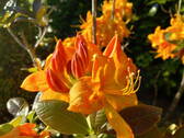 Bild 16 - 