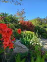 Bild 19 - 