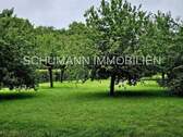 Obstbaumwiese - 
