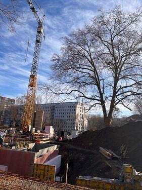 Keller2.jpg - Attraktive Stadtwhg. 4 Zi. II.OG gr. Südbalkon Aufzug KfW40 Bad mit Fenster uvm.