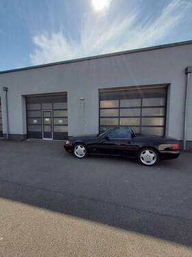 20250409_132900.jpg - 