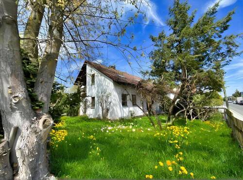 Gartenimpressionen - 6 Zimmer Einfamilienhaus in Obermichelbach