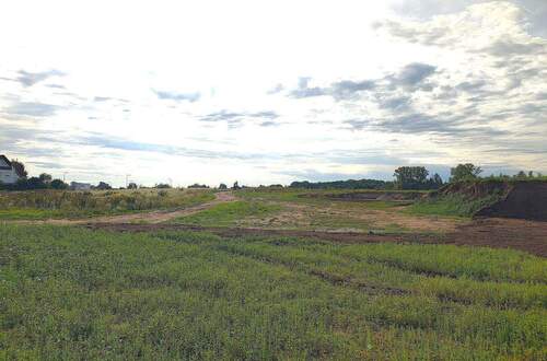 IMG_20250904_094303415_HDR.jpg - 