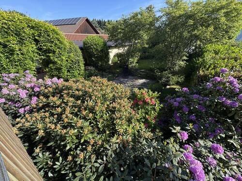 Bild 17 - 
