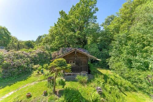 Blick vom Balkon - 