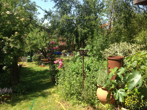 Garten - 