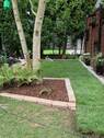 Garten (2).jpg - 
