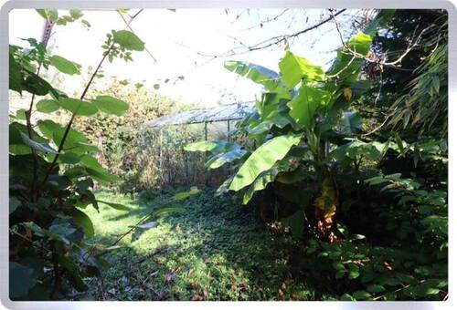 Garten - 