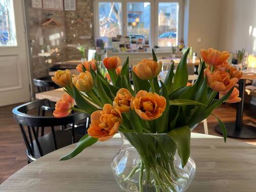 IMG_3893.jpeg - Besichtigung 12.12. 16-17 Uhr! Ruhe genießen im großen eigenen Garten mit Terrasse - ab sofort