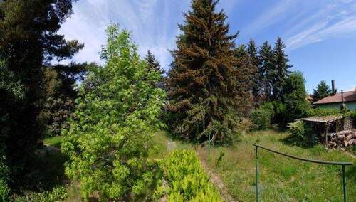 Bild 3 - Bauernhaus, Landhaus mit 133,00 m&sup2; in Regis-Breitingen zum Kaufen