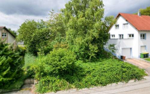 Grundstück - Grundstück zum Kaufen in Bräunlingen-Döggingen