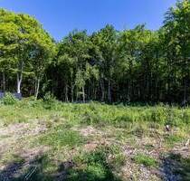 Traumgrundstück am Waldrand in Straßlach - Straßlach-Dingharting