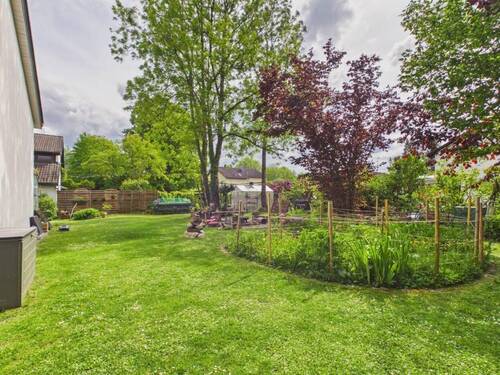 Eingewachsener Garten mit südwestlicher Ausrichtung - 