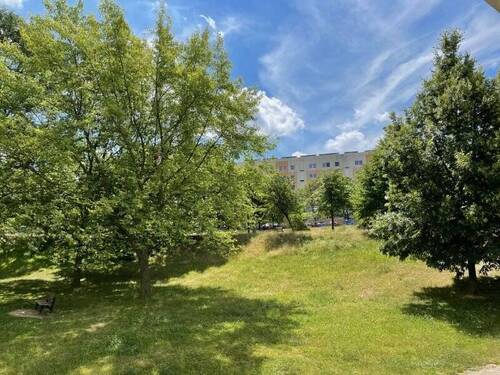 Blick von Balkon im EG (2) - 