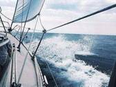 Bild 10 - 