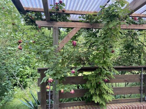 Grüne Gartenoase - 4 Zimmer Reihenmittelhaus zum Kaufen in Reinbek