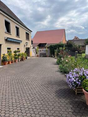 IMG_0689.jpeg - Mehrfamilienhaus, Wohnhaus zum Kaufen in Barchfeld-Immelborn