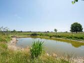 Teich - Mehrfamilienhaus, Wohnhaus mit 285,00 m² in Münsterhausen zum Kaufen
