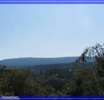 Herrliche 2-Zimmerwohnung in Altenau mit tollem Blick - Clausthal-Zellerfeld