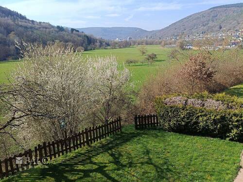 Garten - 1 Zimmer Mehrfamilienhaus, Wohnhaus zum Kaufen in Schneeberg