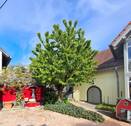 Blick in Innenhof - 
