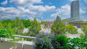 IMG_3146 - 