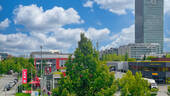 IMG_3147 - 