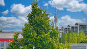 IMG_3148 - 