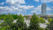 IMG_3150 - 