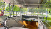 IMG_3170 - 